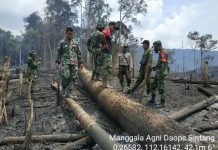 Lahan di Sepakat II (Diduga) Sengaja Dibakar