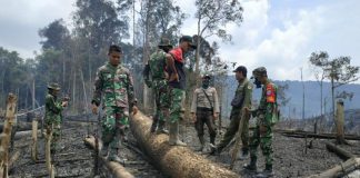 Lahan di Sepakat II (Diduga) Sengaja Dibakar