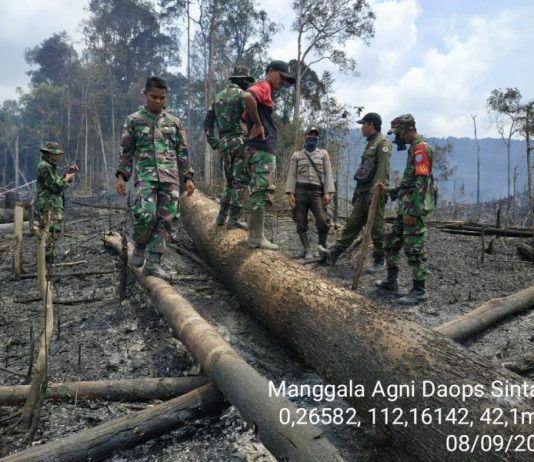 Lahan di Sepakat II (Diduga) Sengaja Dibakar