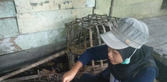 Mahasiswa Untan Kembangkan Produk Unggulan di Seponti