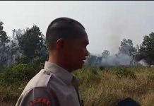 Karhutla Nyaris Bakar RSUD dan SMP Sukadana