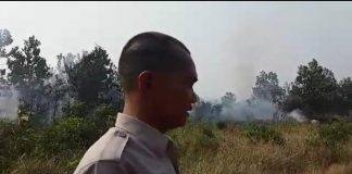 Karhutla Nyaris Bakar RSUD dan SMP Sukadana