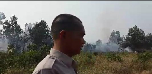 Karhutla Nyaris Bakar RSUD dan SMP Sukadana