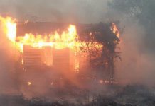 5 Rumah dan 1 Gedung Sekolah Terbakar