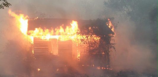 5 Rumah dan 1 Gedung Sekolah Terbakar