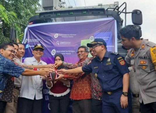 Pisang Kalbar Meluncur ke Pasar Luar Negeri