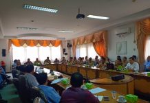 600 Hektar Lahan Konsesi Sawit di Sekadau Terbakar