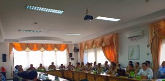 600 Hektar Lahan Konsesi Sawit di Sekadau Terbakar