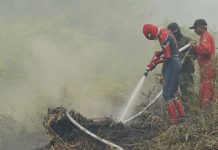 Warga Riau Kembali Adukan Asap ke PBB