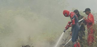 Warga Riau Kembali Adukan Asap ke PBB