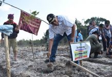 Pemkab Kembangkan Potensi Perkebunan dan Pertanian