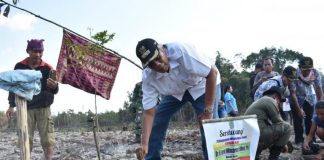 Pemkab Kembangkan Potensi Perkebunan dan Pertanian