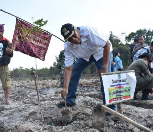 Pemkab Kembangkan Potensi Perkebunan dan Pertanian