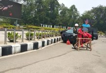 Si Jago Mogok Ganti Mercy S600 Guard