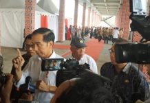 Jokowi: Karhutla Jangan Hambat Perekonomian