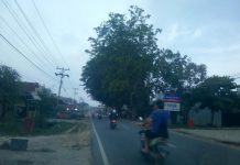 Warga Lega Kabut Asap Mulai Reda