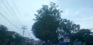 Warga Lega Kabut Asap Mulai Reda