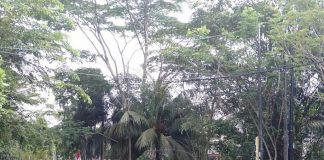 Ribuan Mahasiswa Bergerak ke Gedung DPRD Kalbar, Sekarang