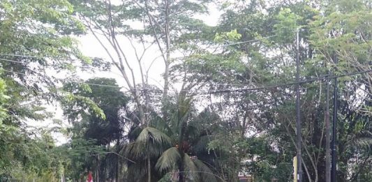 Ribuan Mahasiswa Bergerak ke Gedung DPRD Kalbar, Sekarang