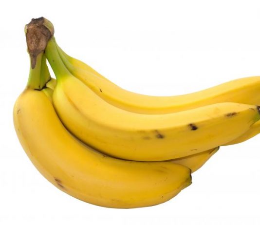 Kalbar Belum Mampu Cukupi Pasokan Ekspor Pisang