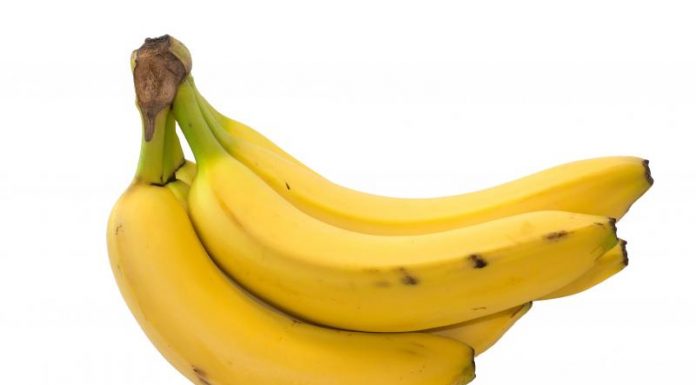 Kalbar Belum Mampu Cukupi Pasokan Ekspor Pisang