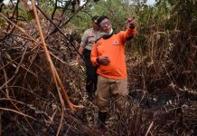 Bupati Citra: Tak Mudah Padamkan Api di Lahan Gambut