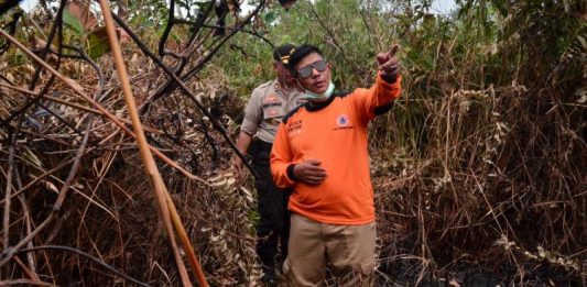 Bupati Citra: Tak Mudah Padamkan Api di Lahan Gambut