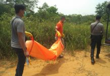 Korban Pembunuhan, Misteri Kerangka di Pasar Baru Sekadau Terungkap