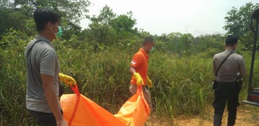 Korban Pembunuhan, Misteri Kerangka di Pasar Baru Sekadau Terungkap