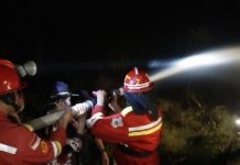 Wali Kota Ikut Padamkan Karhutla