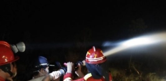 Wali Kota Ikut Padamkan Karhutla