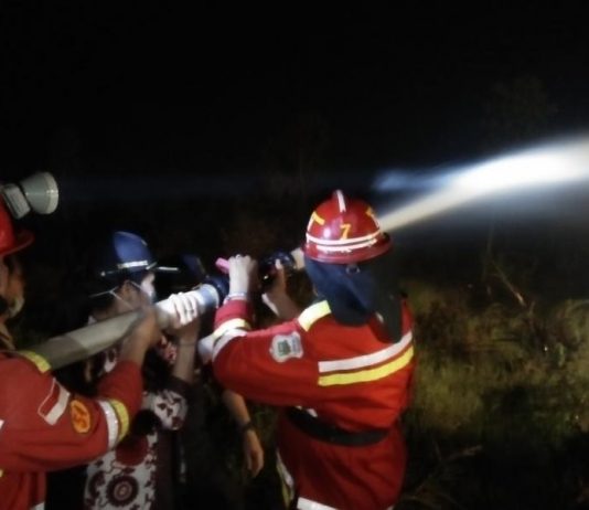 Wali Kota Ikut Padamkan Karhutla