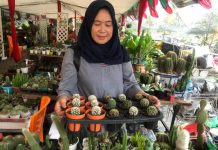 Manfaatkan Hobi Jadi Peluang Usaha