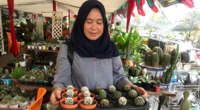 Manfaatkan Hobi Jadi Peluang Usaha