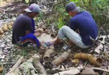 Heboh Penemuan Ratusan Barang Antik