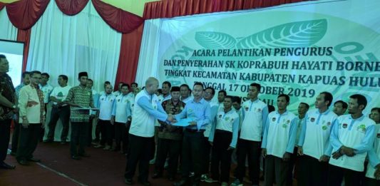 Ketua Umum Koprabuh: Kratom Tidak Dilarang!
