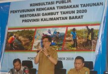 Tahun 2020, Restorasi Gambut Kalbar 149.901 Ha