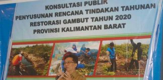 Tahun 2020, Restorasi Gambut Kalbar 149.901 Ha