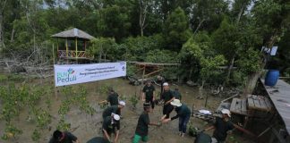 PLN Tanam 5000 Mangrove dan 1000 Pohon Produktif di Kawasan Cinta Mangrove Park