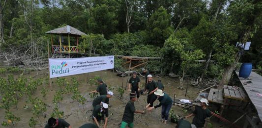 PLN Tanam 5000 Mangrove dan 1000 Pohon Produktif di Kawasan Cinta Mangrove Park