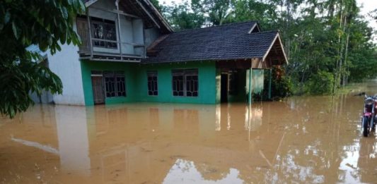 Sejumlah Desa Diterjang Banjir di Melawi, Jembatan Putus dan Tanah Longsor