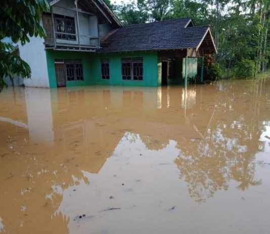Sejumlah Desa Diterjang Banjir di Melawi, Jembatan Putus dan Tanah Longsor