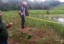 Dua Bocah Dusun Melikae Tewas Diduga Tersengat Listrik, PLN Serahkan Penyidikannya ke Polisi
