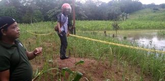 Dua Bocah Dusun Melikae Tewas Diduga Tersengat Listrik, PLN Serahkan Penyidikannya ke Polisi