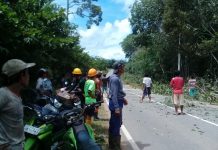 Jelang Akhir Tahun, 6 Desa Segera Nikmati Listrik PLN 24 Jam Nonstop