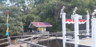 Danau Sentarum Rutin Dikunjungi Turis Asal Jerman, Inggris dan Belanda