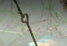 Dua Bocah Tewas Diduga Tersengat Listrik, Orang Tua Tuntut Tanggung Jawab PLN