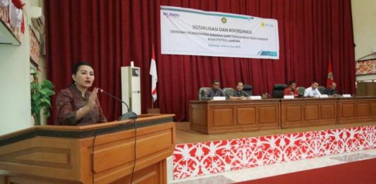 Atasi Problem Kelistrikan Perlu Komitmen Bersama