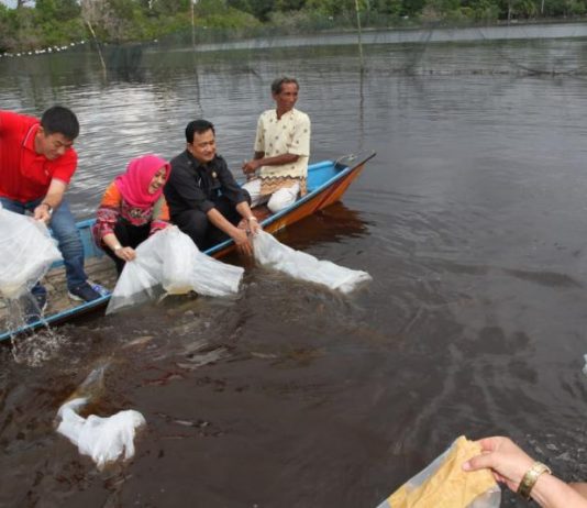 Pemkab Kapuas Hulu Akan Bangun Pusat Penangkaran Ikan Berpotensi Langka