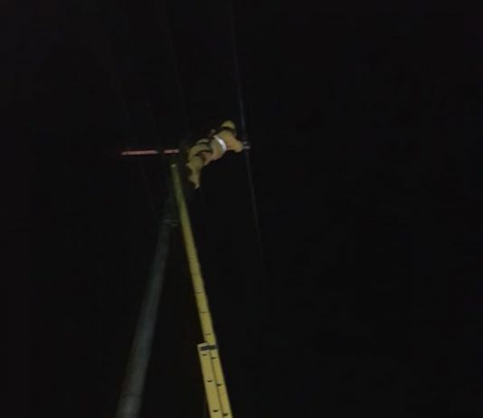 Petugas PLN Gerak Cepat Pulihkan Pasokan Listrik Pasca Terganggunya Jaringan Distribusi